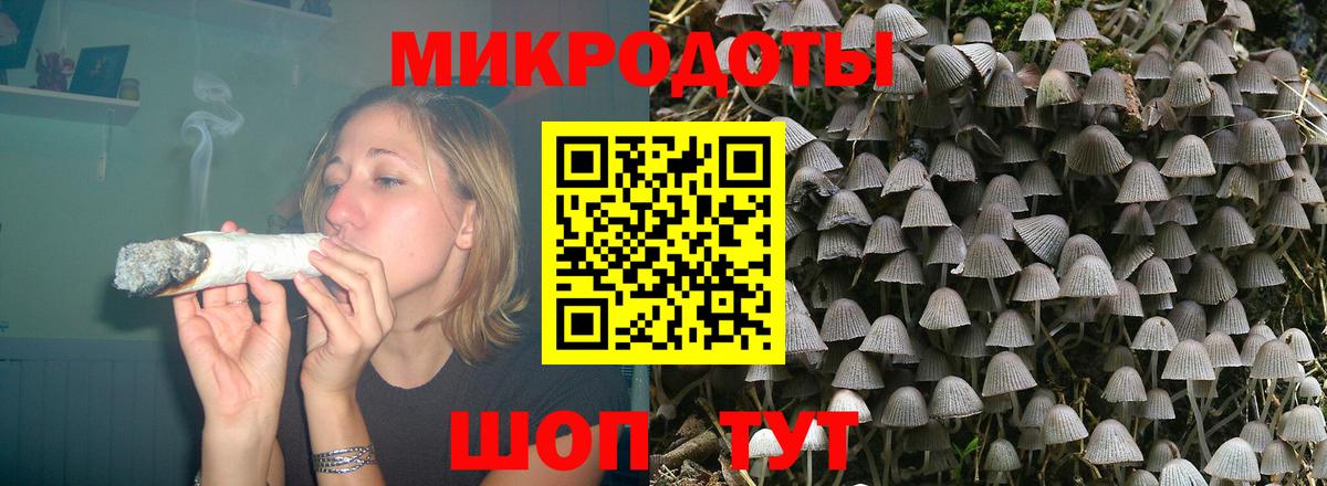 Псилоцибиновые грибы Psilocybine cubensis Глазов